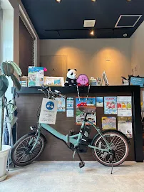 WideBike Miyakojima